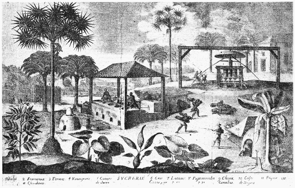 Сахарный завод в Сен -Доминго в конце 18 века. 