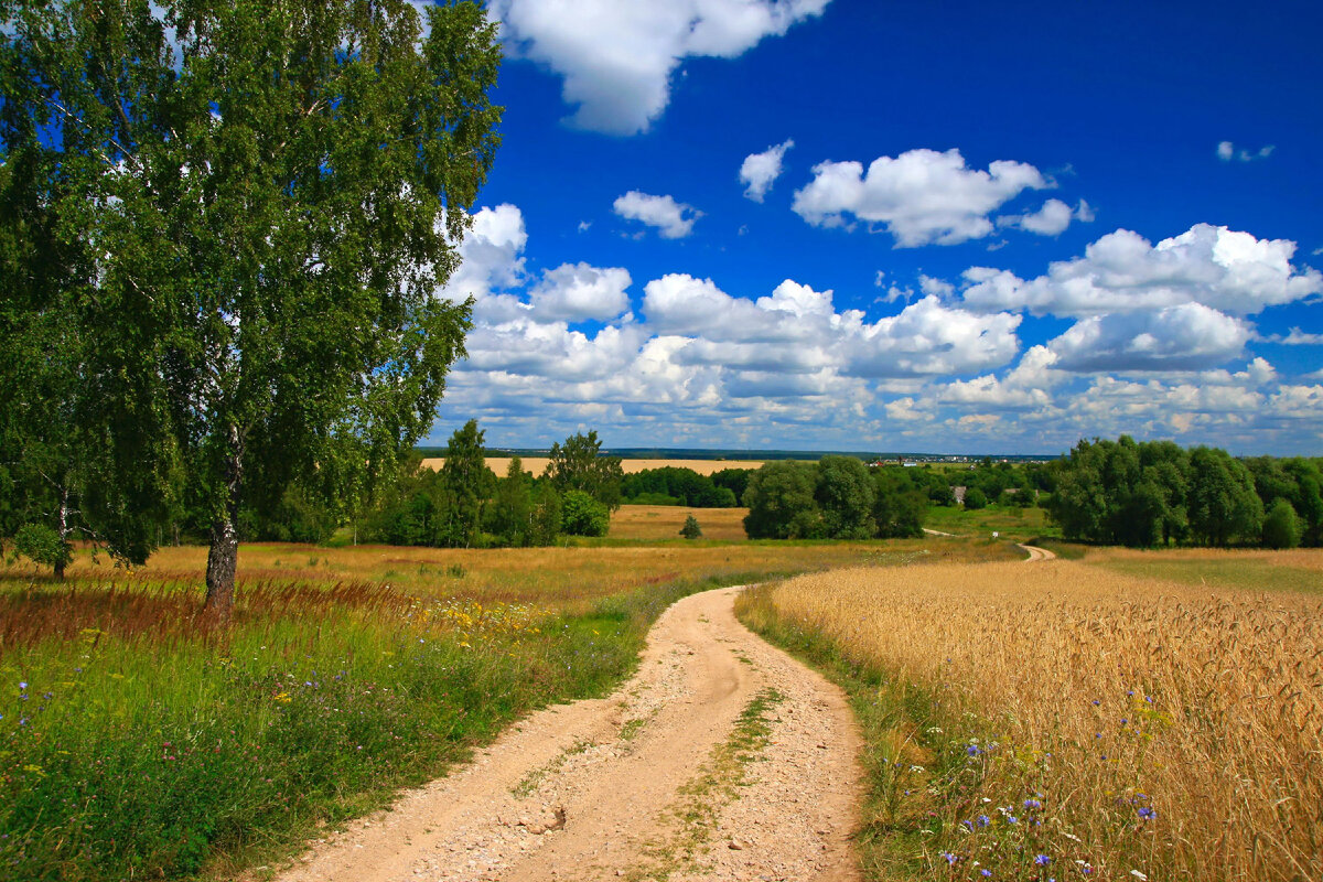 Дорога
