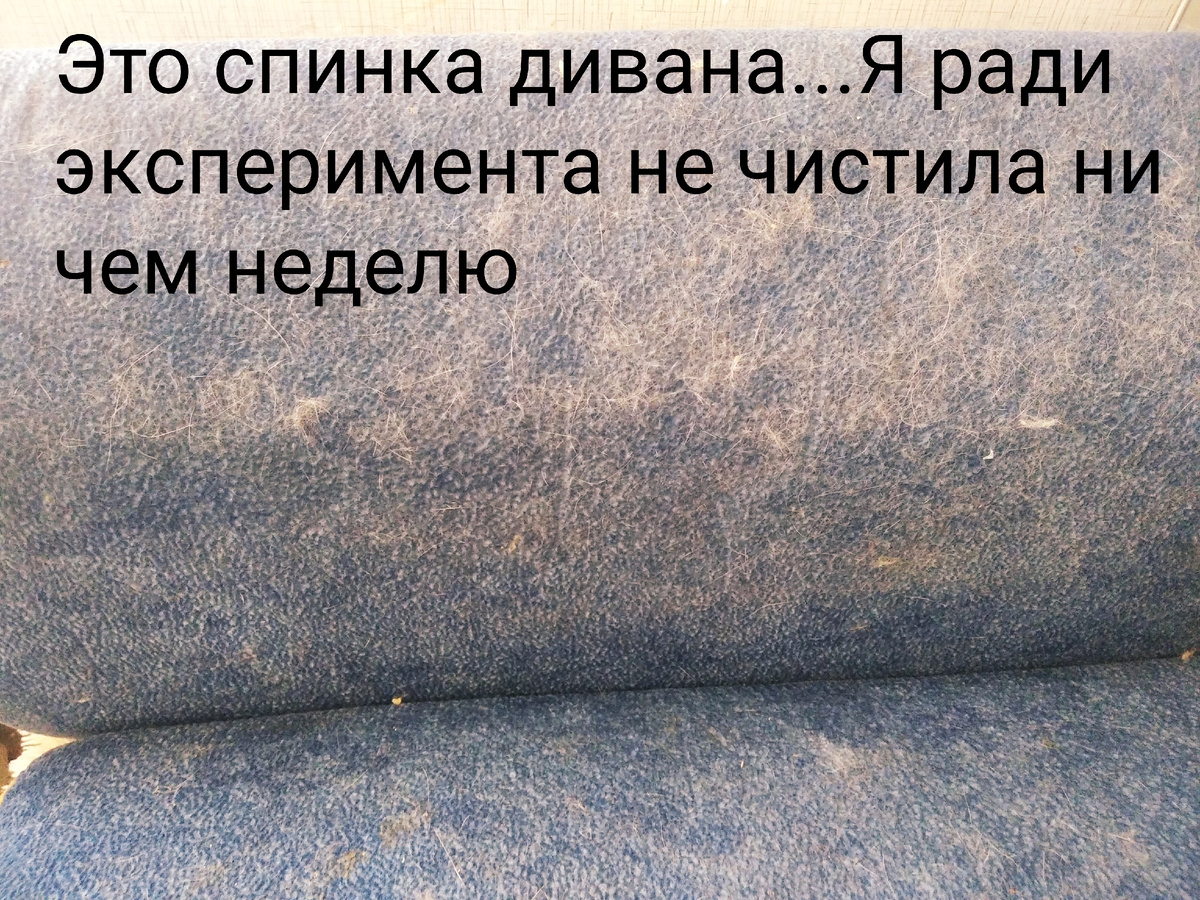 Фотография автора