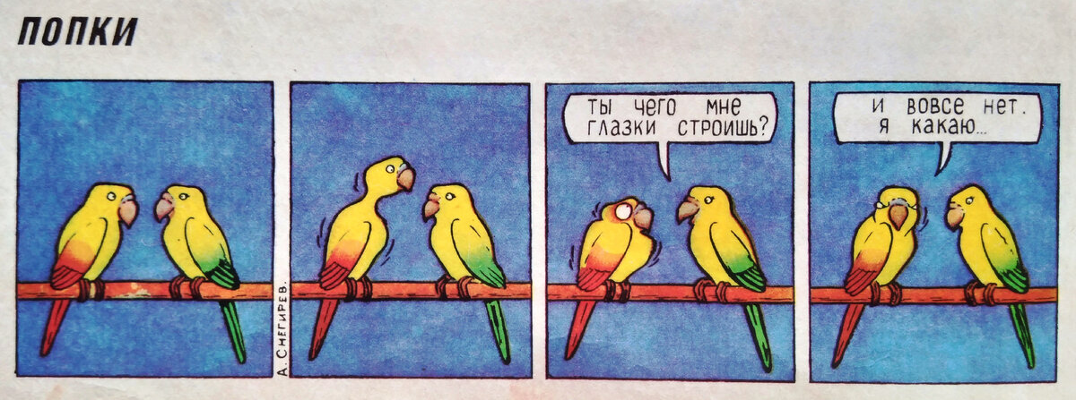 Попугаи