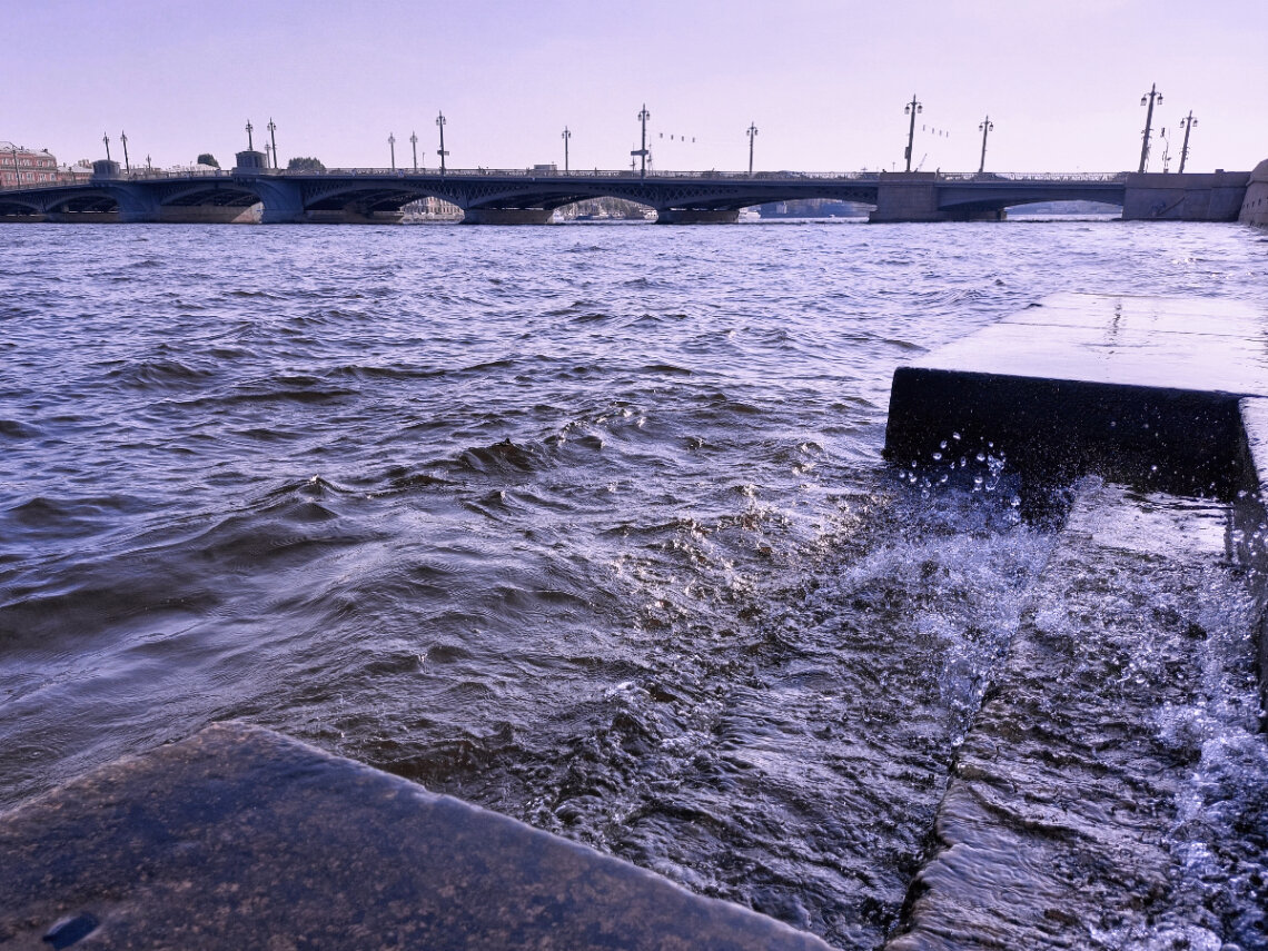 Вид на мост с Университетской набережной