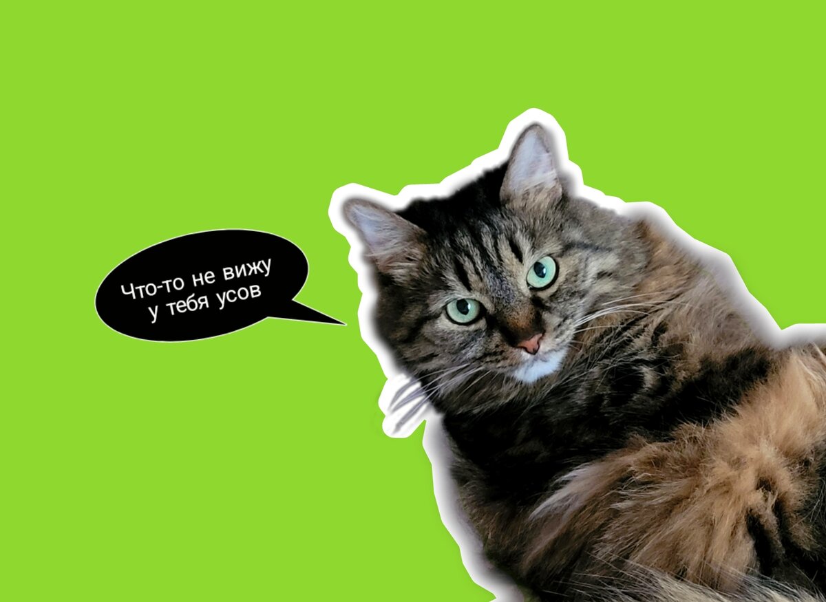 Моя соратница