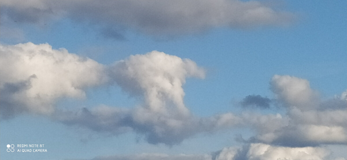 Видите котика на облаке?