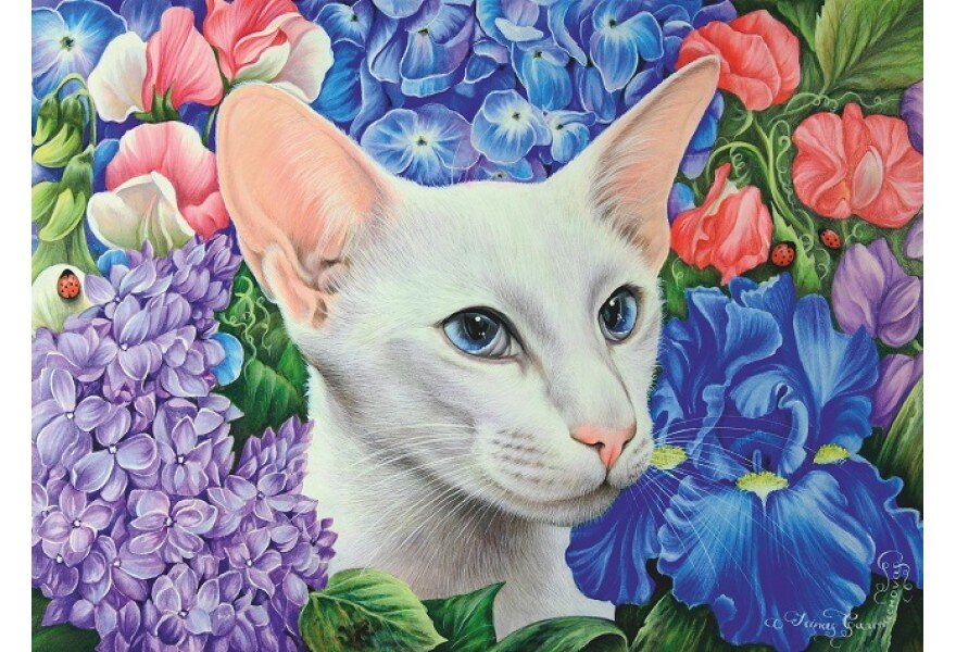 �������� ���