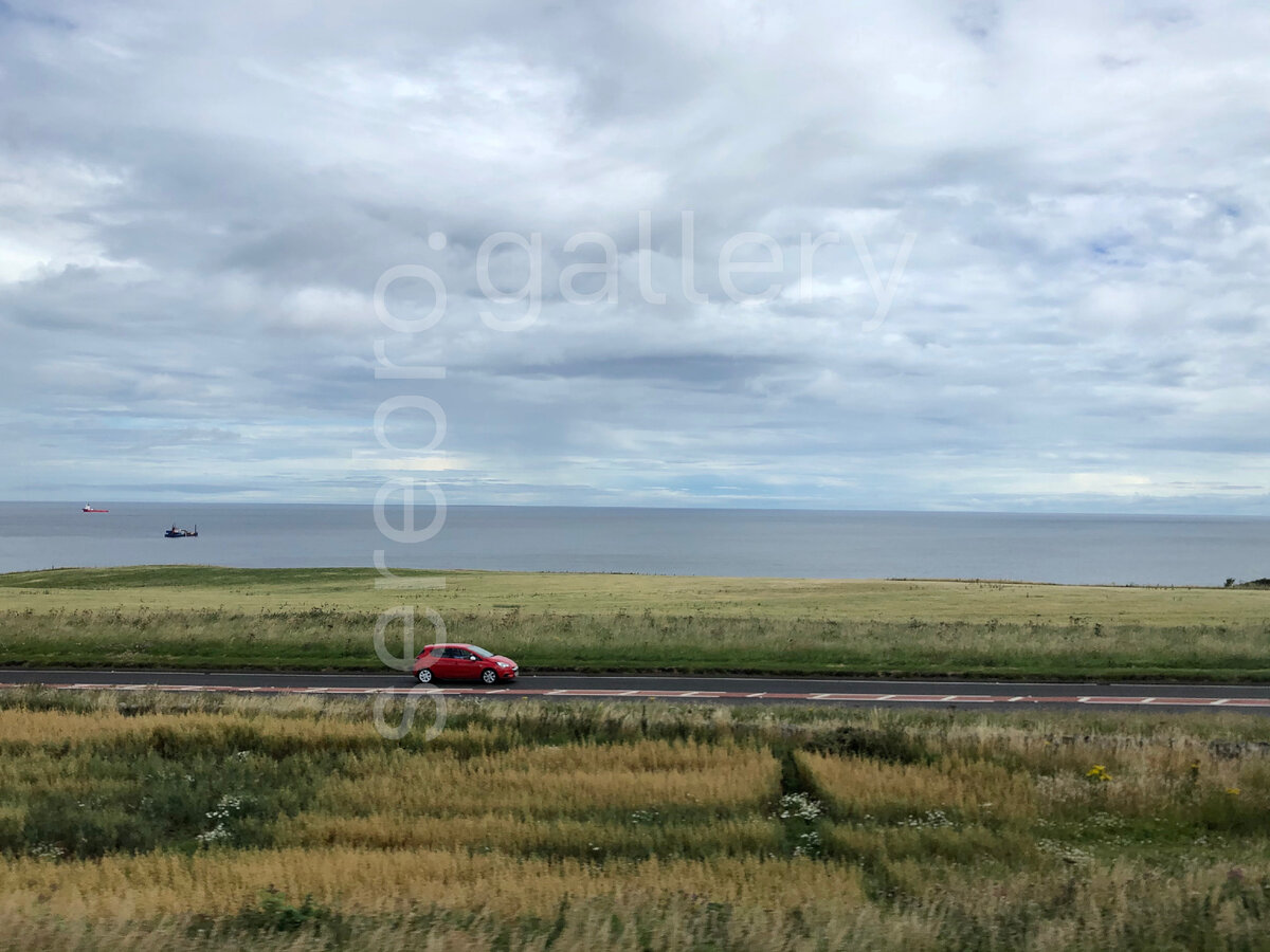 Артём | @artemchernichin | «Душевно и едино с природой» | Фотовыставка «Мобильная фотография»