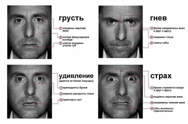 Некоторые эмоции легко считываются по мимике