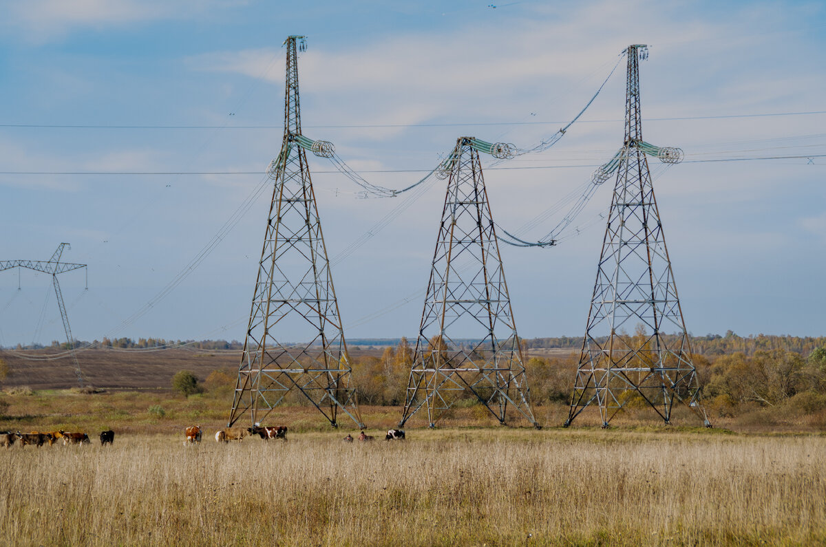Брянская область