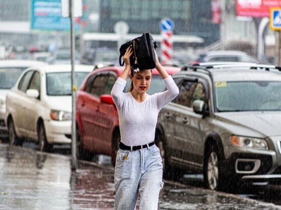     Густаво Зырянов / "МК в Новосибирске"