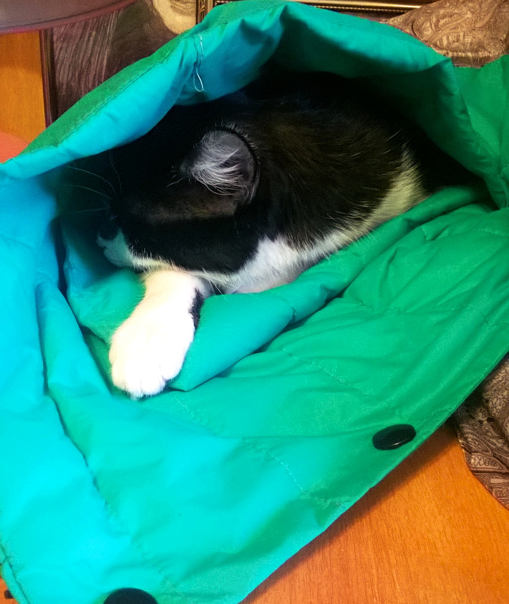 Фото автора. Глаша