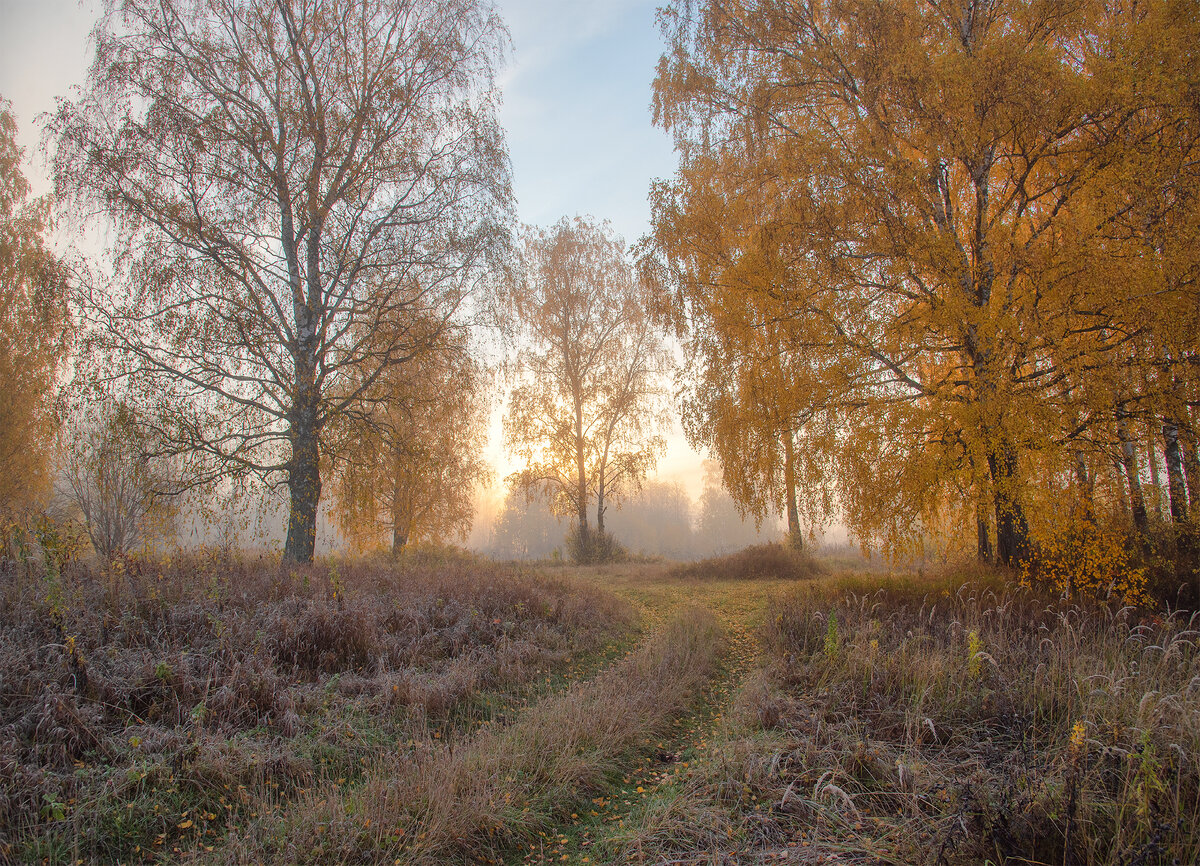 Поздняя осень эстетика. Сезон осень. Холодная осень 2023. Утро осень пейзаж. Холодная осень 2023.