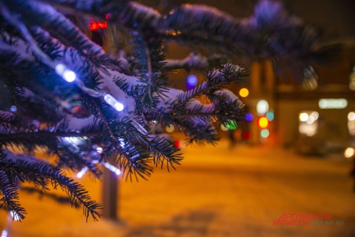    В Новосибирске отменили концерт и салют на Новый год-2023