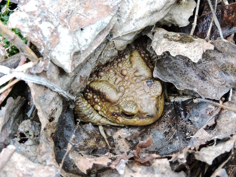 Фото: Анастасия Клюева 