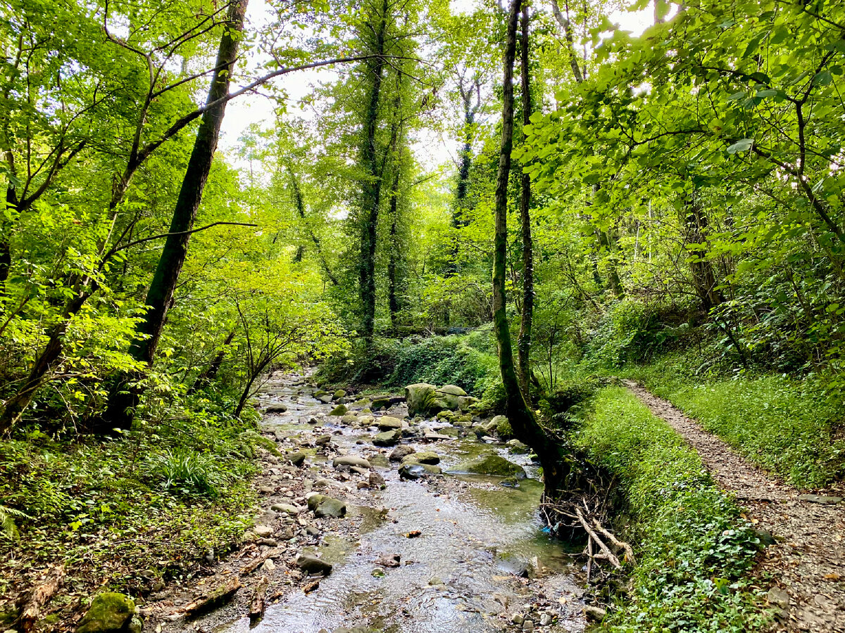  Тропинка, ведущая в село из ущелья