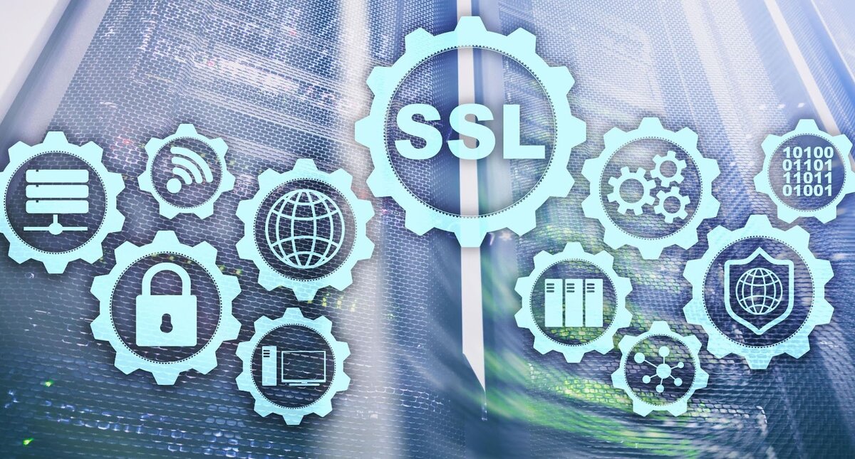 Подписывайтесь на канал RuWeb в Яндекс.Дзен и читайте новые статьи о хостинге каждую неделю! 