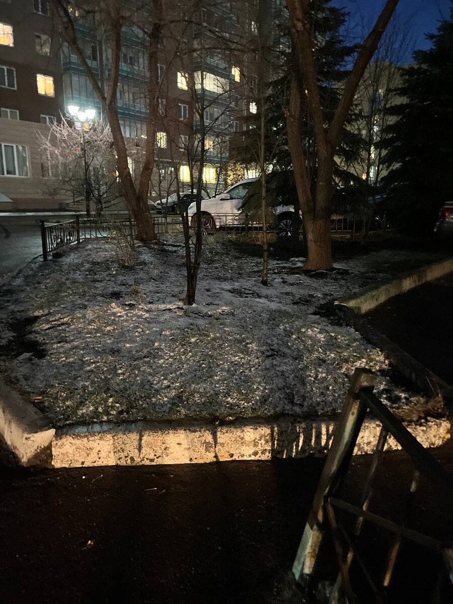 Первый снег на зелёной траве