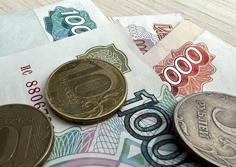    Бюджетные баталии: как профильный комитет Госдумы утверждал расходы страны на ближайшие три года