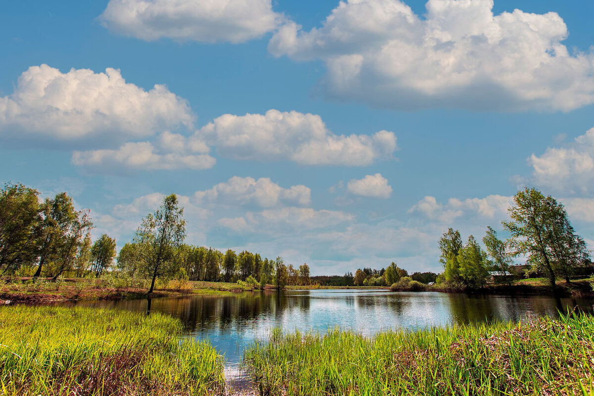 Поход на байдарках по реке Ушна