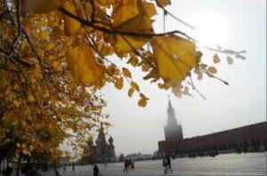    Фото: poembook.ru Игорь Чамовских