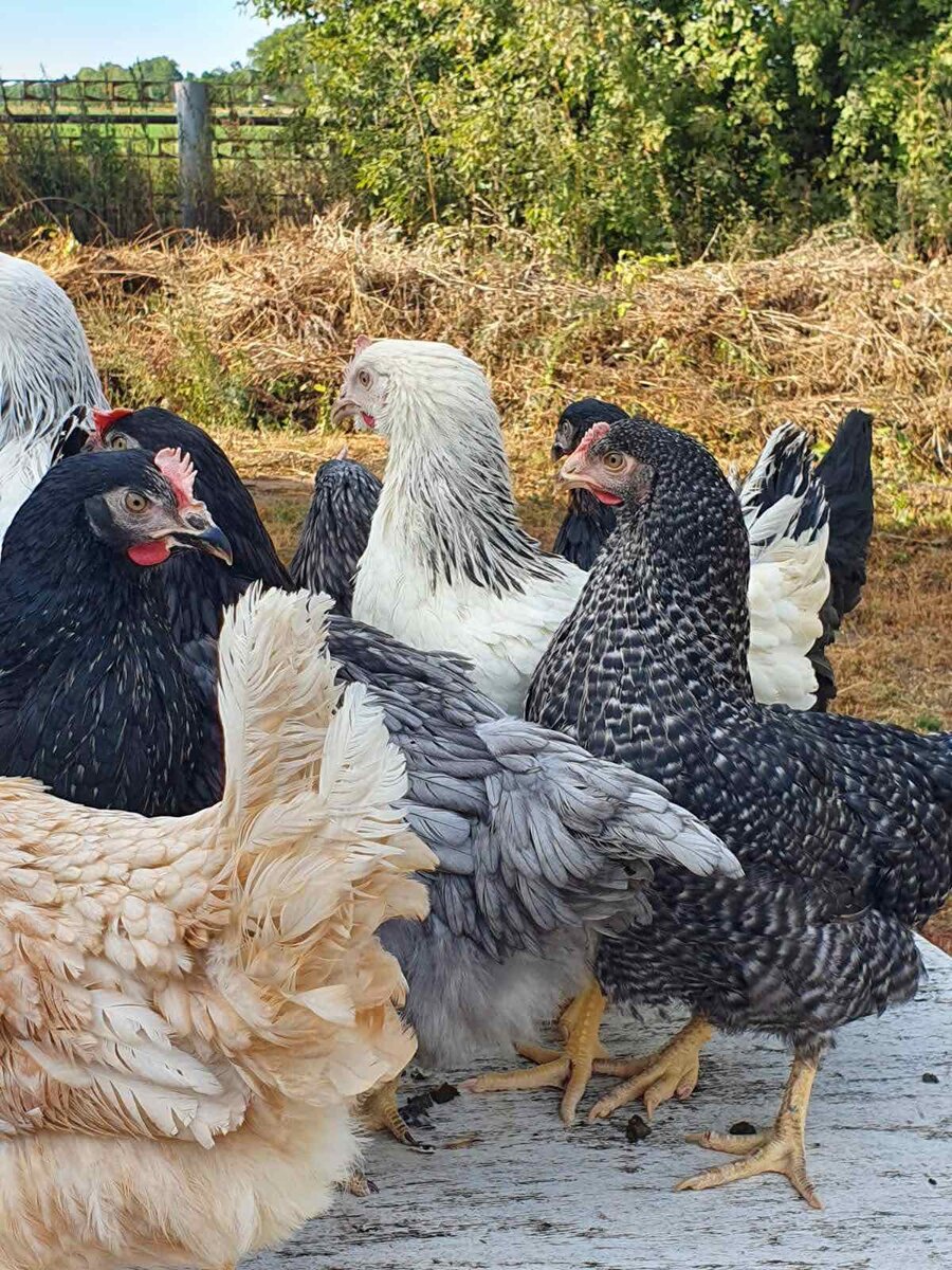 фото из личного архива
