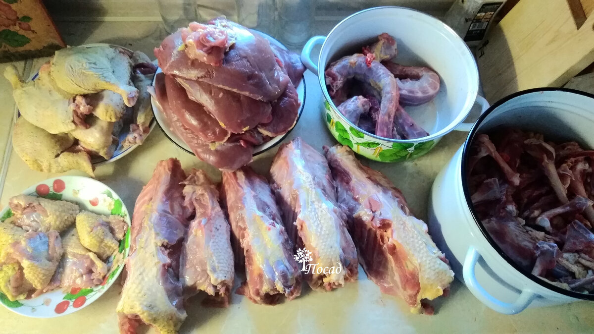 Тушки разобрала по частям: кости и кожу - в заливку, спинки с остатками мяса и шеи на кашу для собаки, гузки и ножки - потушить с капустой.