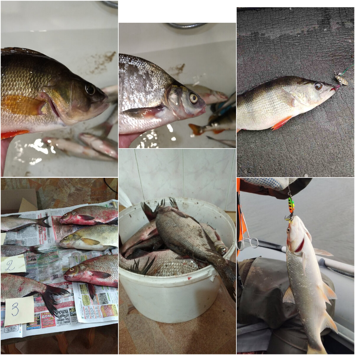 Половина моих уловов