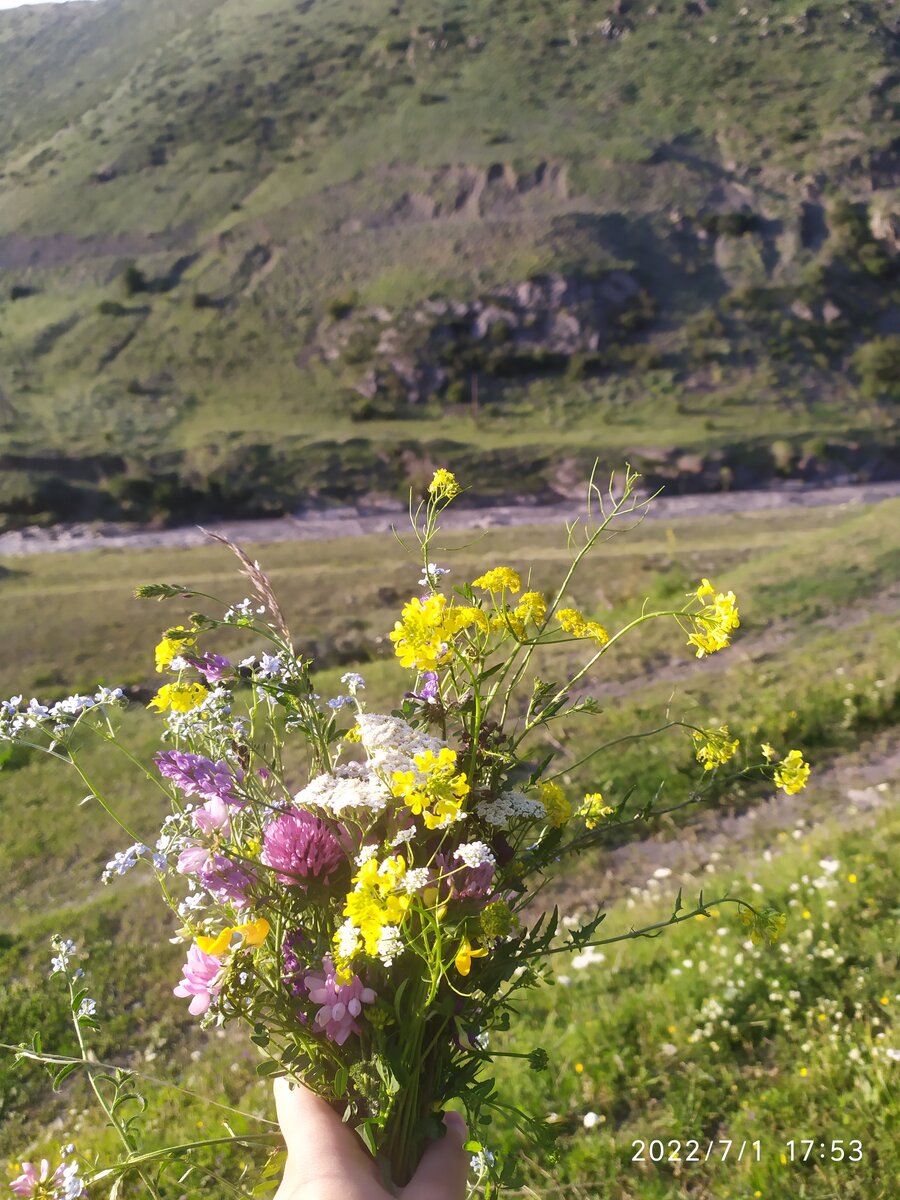   Букет из  цветов растущих в горах