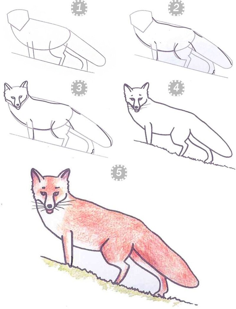 Лиса карандашом легко. Рисунок лисы карандашом для детей. Уроки рисования лисы. Лиса карандашом. Этапы рисования лисы.