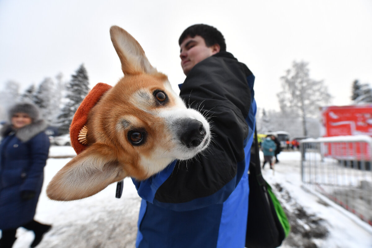 Фото: Komsomolskaya Pravdа/globallookpress.com