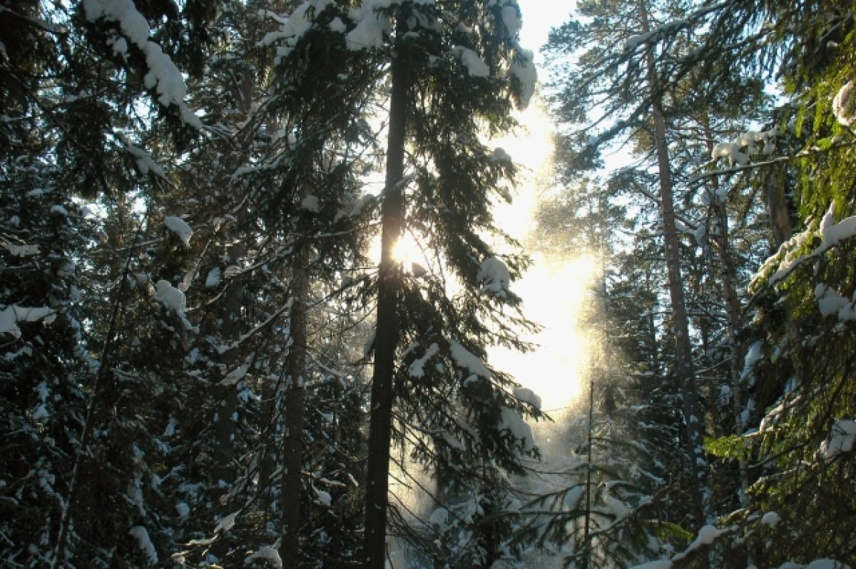    В Красноярском крае появится новая заповедная территория
