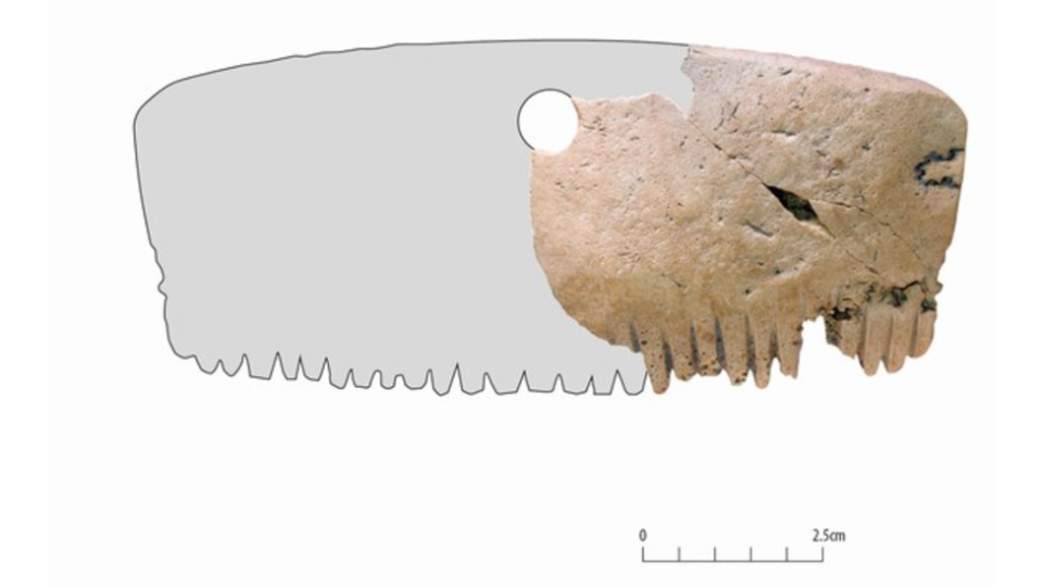    MOLA
