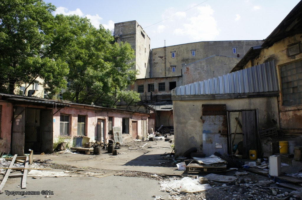 Фото: Александр Треугольников