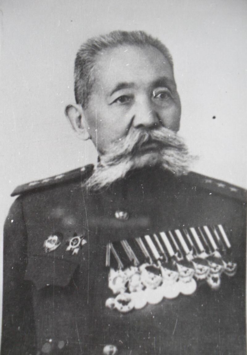 Городовиков Ока Иванович. Яндекс картинки. 