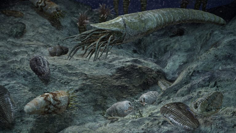 Мир до первого вымирания. 