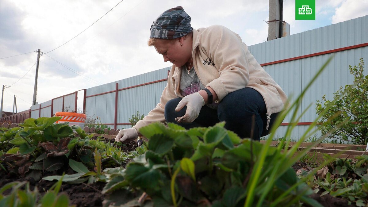    Фото: РИА Новости © 2022, Виталий Белоусов