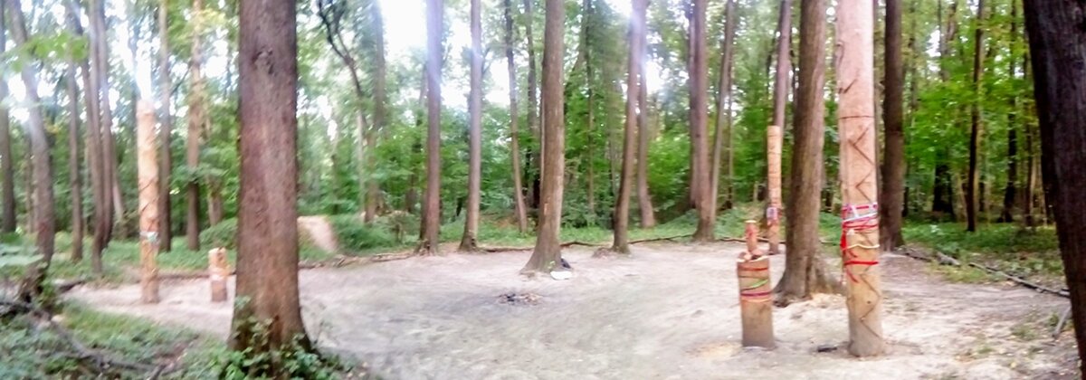 Капище. Источник: ВК-страница родноверов.