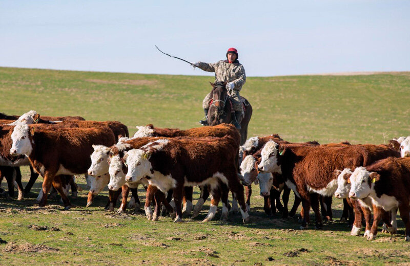 Фото из открытых источников