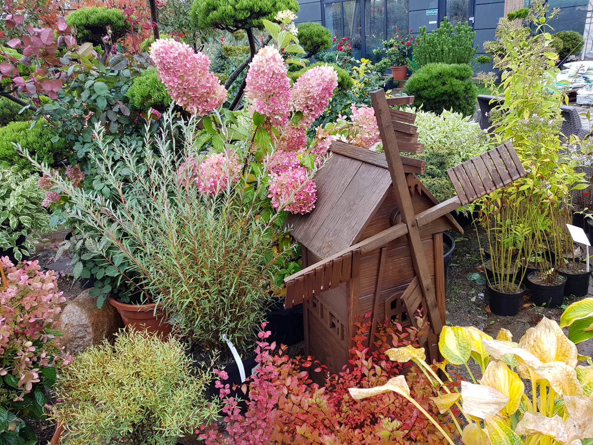 Композиция в питомнике