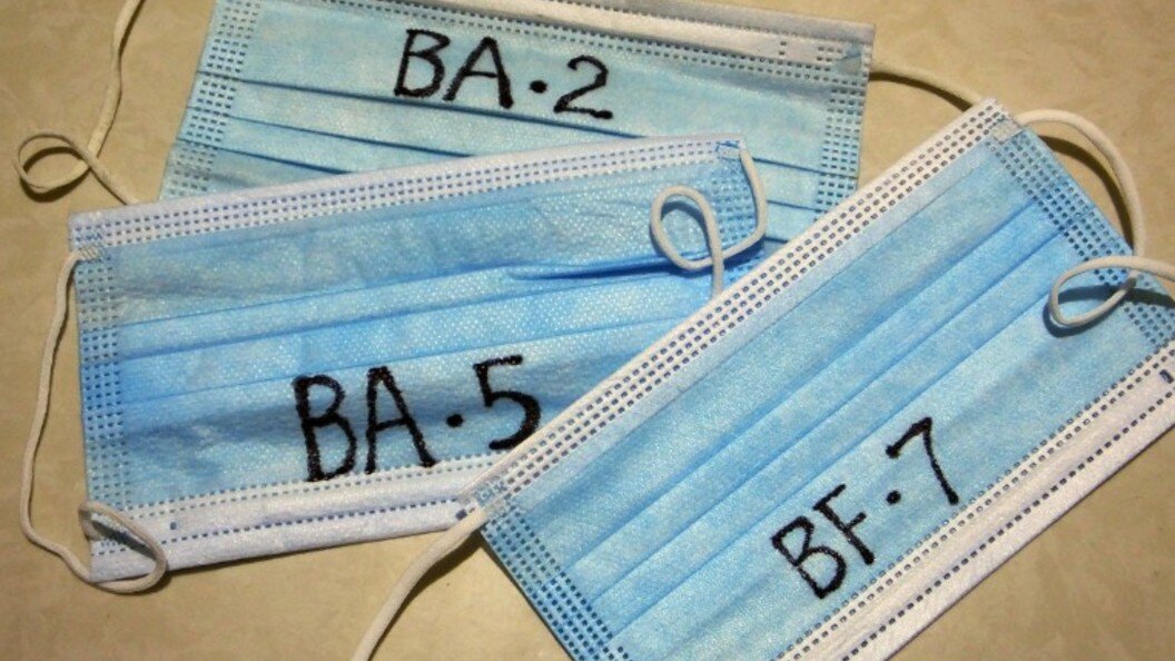    Фото: globallookpress.com