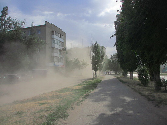     Сильный ветер в Саратовской области. Фото: Сергей Климушев