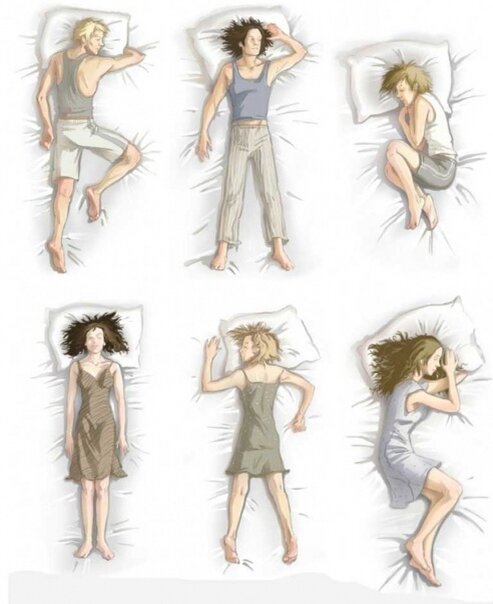 Фото взято из открытого источника интернета 