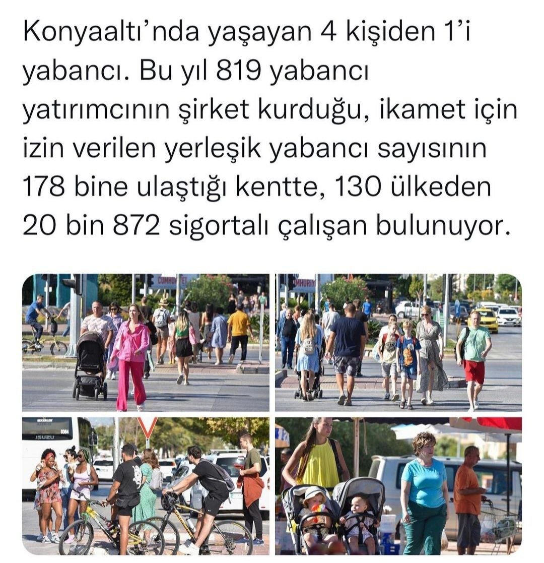 На тему засилья эмигрантов появляется все больше статей в соцсетях