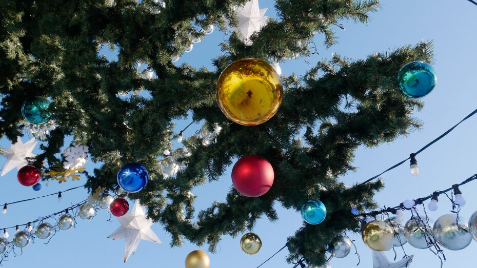   Автор фото: Виталий Грасс (из архива)