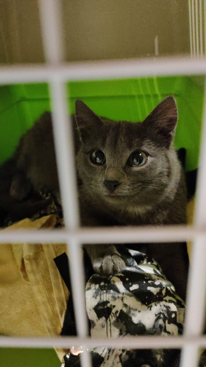 а там - глаза!