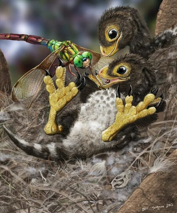 Вот такие вот сейчас динозаврики. Фото из свободного доступа