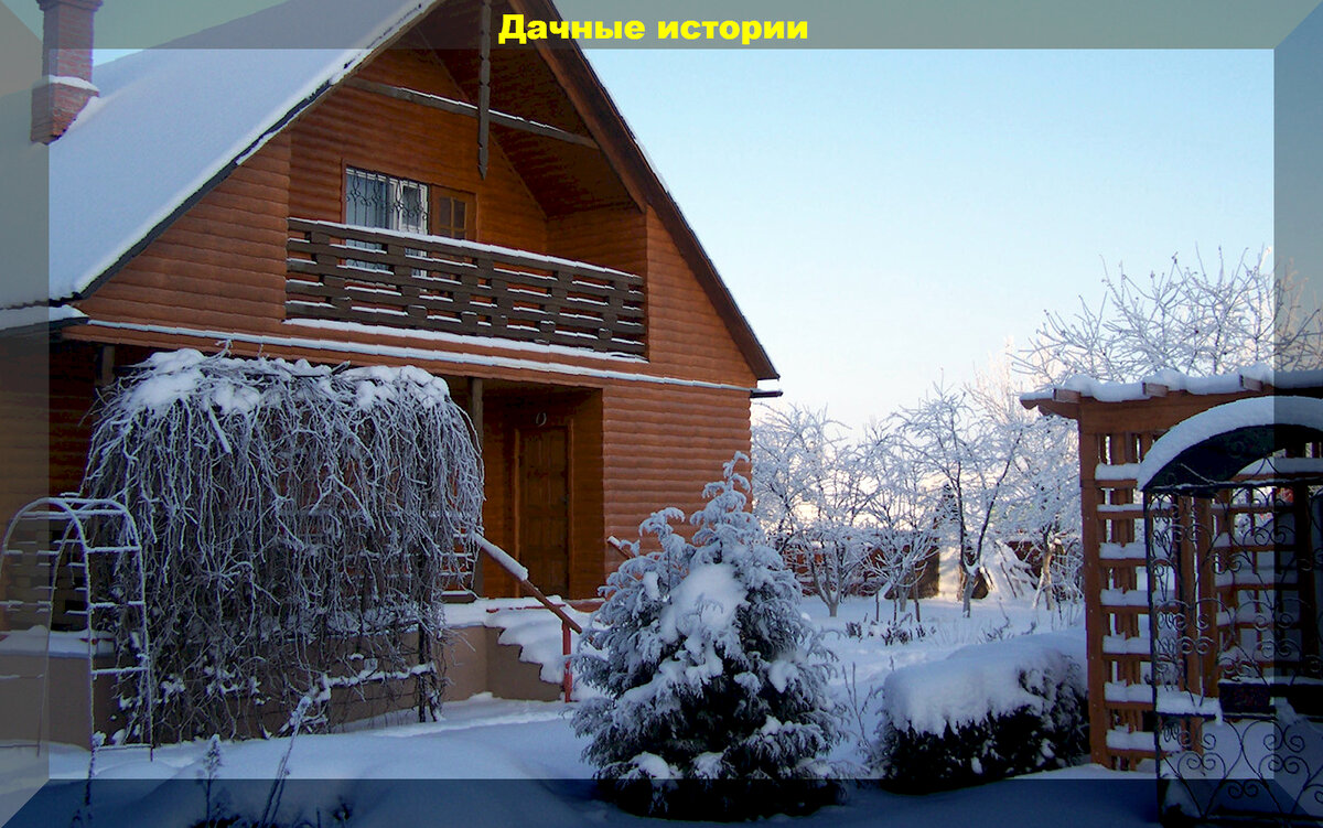"За спрос не бьют в нос": ответы на новые вопросы начинающих дачников ...