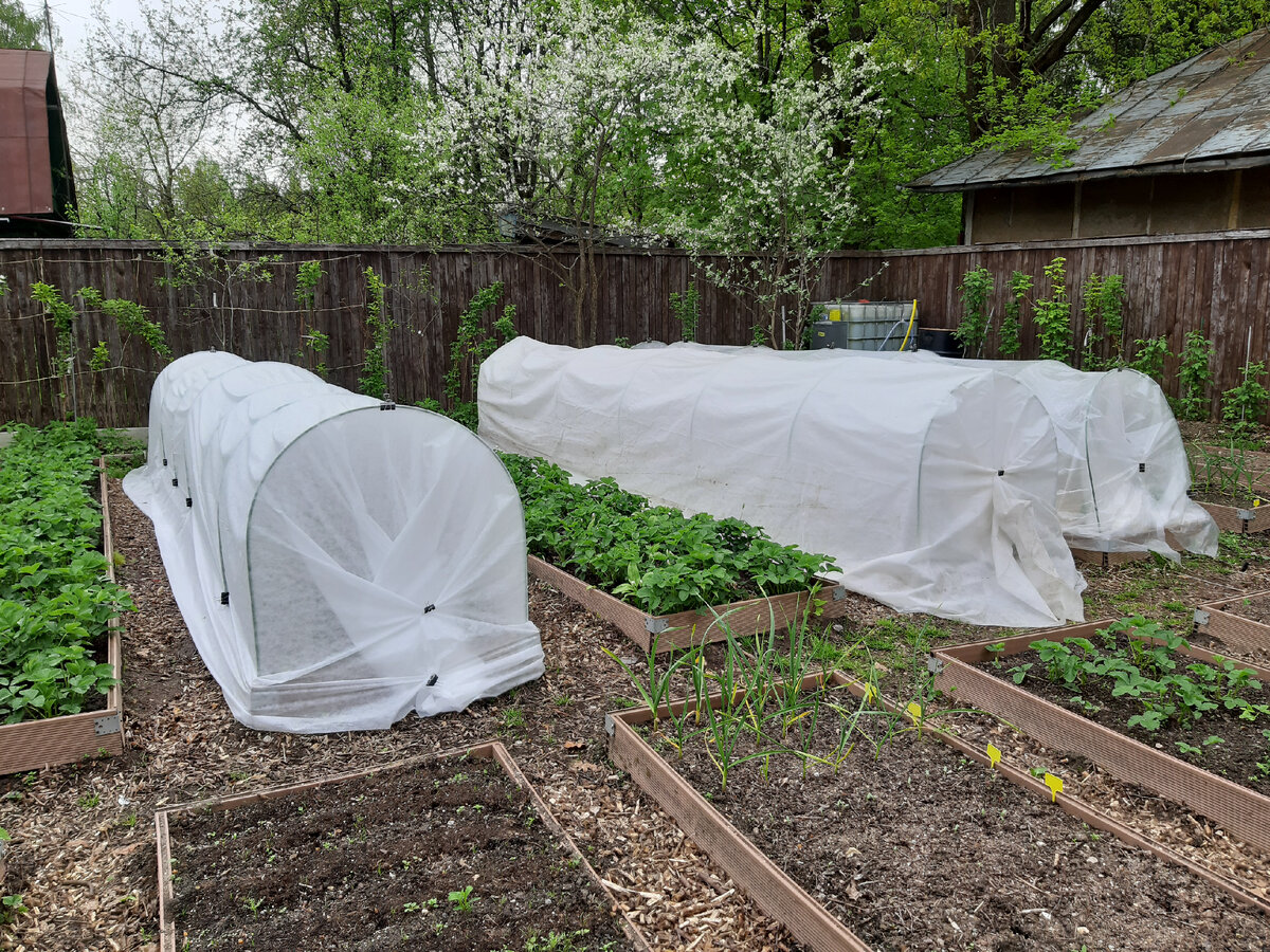 Фото автора.