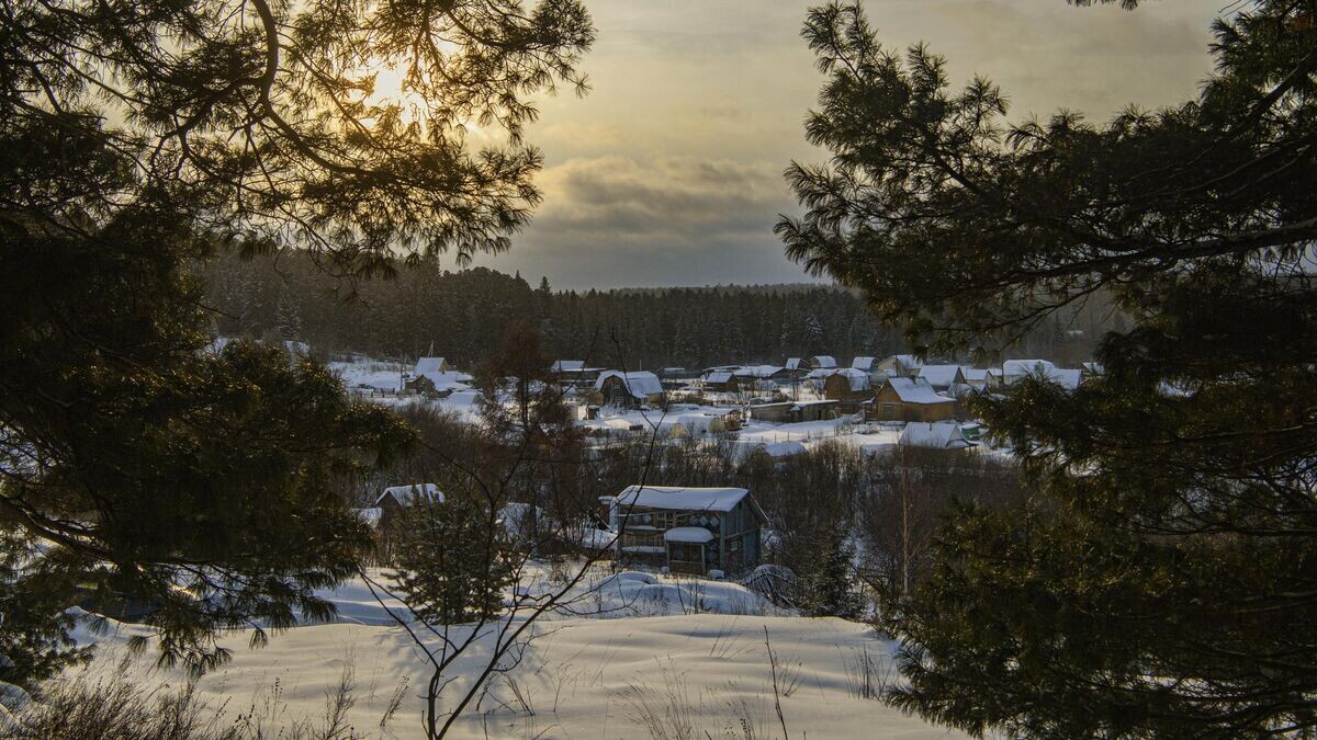    Деревня Вороново в Томской области© РИА Новости / Илья Питалев