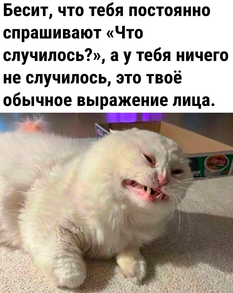 Картинка из вк