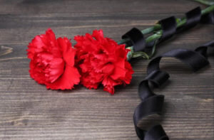    Фото: zabrab75.ru Ксения Смирнова