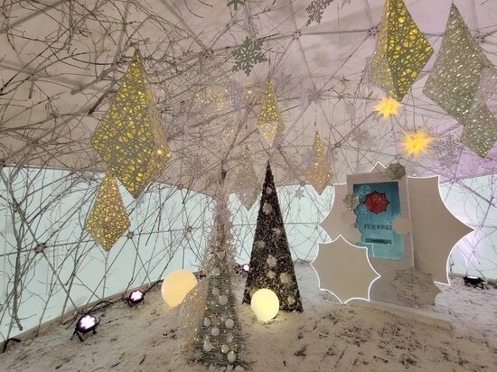     Густаво Зырянов / "МК в Новосибирске"